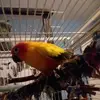 Kenny Webb - @kennywebb0 - TikTok