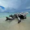 Kenny Yip - @kenny.yip97 - TikTok