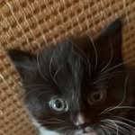 Kenny Yip - @kenny.yip - Instagram