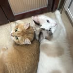 Kenny Yip - @kennyyipp - Instagram