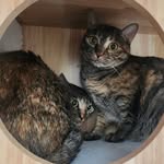 Kenny Yip - @yyt56322 - Instagram