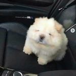 Kenny Yoon - @kennyyoon_ - Instagram