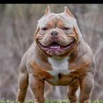 Kenrick Moore - @kenrick6743 - Instagram