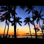 近藤 健太 - @kenta_moana_tupou - Instagram