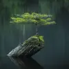 kenta_momoshi - @kentamomoshi - TikTok