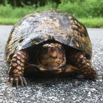 Kent Ayers - @kentayers4 - Instagram