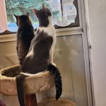 Kent Bauer - @kent.bauer1 - Instagram