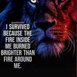 Joshua Kent Bender - @joshkent2263 - Instagram