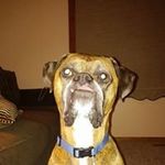 Kent Bender - @kbender7821 - Instagram