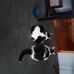 Stan Bender - Facebook