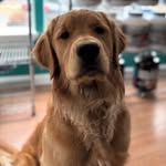 Clark Kent Bennett - @the_adventures_of_clark_kent_ - Instagram