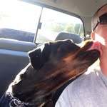 Kent Bennett - @kentbennett98 - Instagram