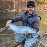 Kent Bird - @kentbird1 - Instagram