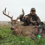 Kent Bird - @kent_bird - Instagram