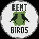 Kent Birds - @kent_birds - Instagram