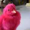 Kent Bone - @kent.bone - TikTok