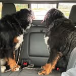 Kent Brewer - @coopersplusone - Instagram