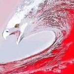 Kent Buchanan - @kent.buchanan.7393 - Instagram