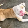 kentcardoza - @kentcardoza - TikTok