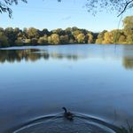 KENT CARPERS🎣🍃 - @kent.carpers - Instagram