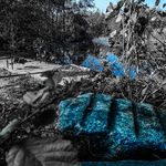 @kentcarper_2000 - Instagram