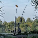 Ryan - @kent_carper_ry - Instagram