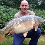 Steve - @kent.carper - Instagram