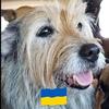 cherrykent455 - @cherrykent455 - TikTok