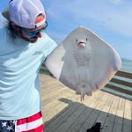 Kent Cole - @kentcole4835 - Instagram