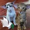 pamkentcook - @pamkentcook - TikTok