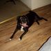 Kent Costa - Facebook