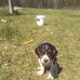 Kent Crouch - Facebook