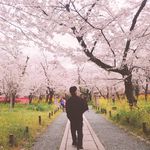 けんと - @kento_dodge - Instagram