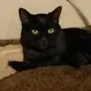 downretkentlibdee - @downretkentlibdee - TikTok