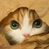 kent - @kent.dumas - TikTok