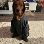 Kent Ebert - @kentebert35 - Instagram