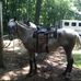 Kent Eldridge - Facebook