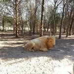robedt kenf erwin - @kent_erwin - Instagram