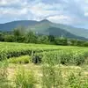kentfields8 - @kent.fields - TikTok