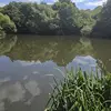 strawberry fields fishery kent - @starwberryfieldskent - TikTok