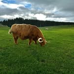 Kent Forster - @kentforsteruk - Instagram