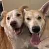 kentfoster246 - @kentfoster246 - TikTok
