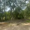 一步錯 - @kentfox6655 - TikTok