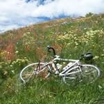 Kent Fulton - @kent.fulton.98 - Instagram