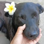 Kyaw Min Khant - Facebook
