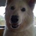 Kent Goodwin - Facebook