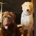 Kent Grimm - Facebook