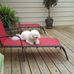 Kent Gross - Facebook
