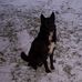 Kent Groth - Facebook