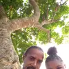 aka_getto - @kenthamilton2 - TikTok